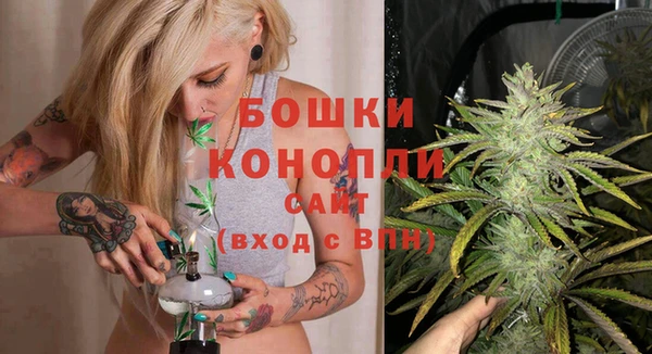 дмт Горняк