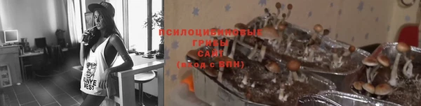 дмт Горняк