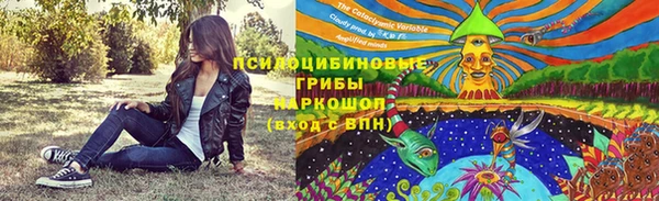дмт Горняк
