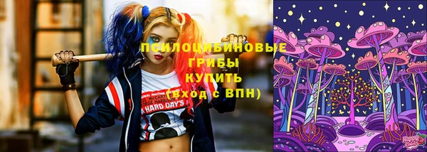 круглые Горно-Алтайск