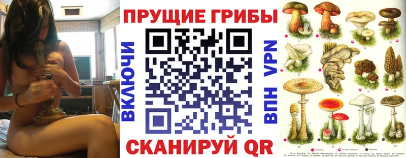Галлюциногенные грибы Psilocybine cubensis Москва
