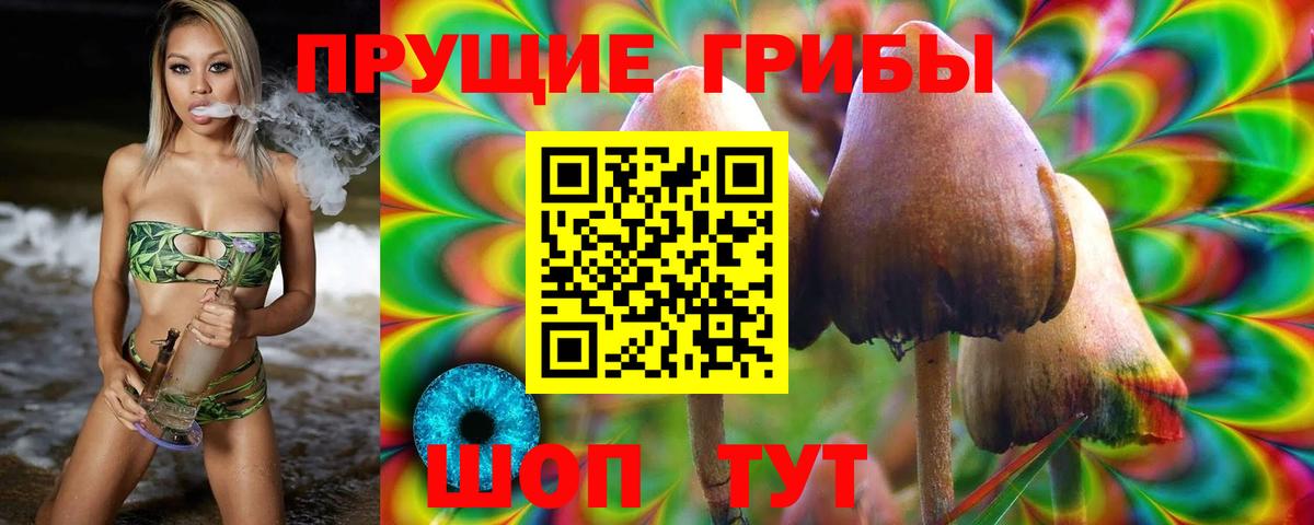 Псилоцибиновые грибы Psilocybine cubensis Москва