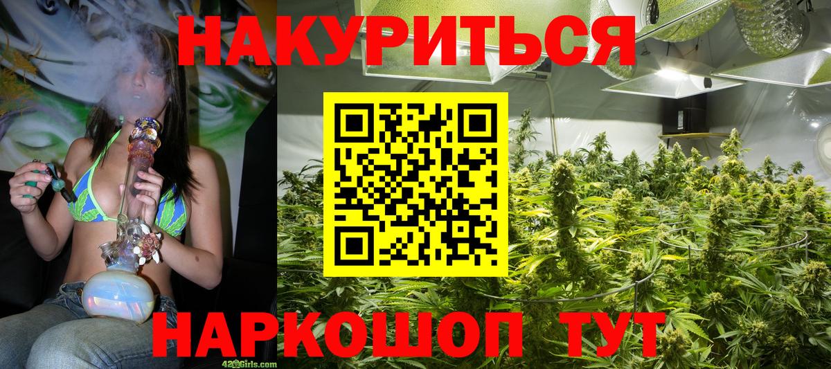 Бошки Шишки семена Москва